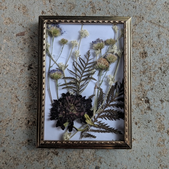 Vintage Other - 🌿Mini Visual Garden From Washington